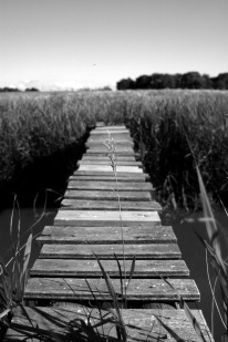 Liebesschlösser, Foto von Dr. Axel Schlote, Freidenker Galerie, Bilder und Sprüche